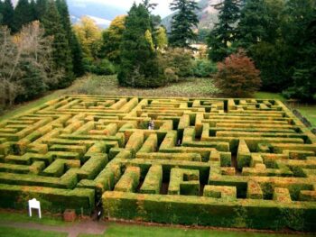 Traquair House maze