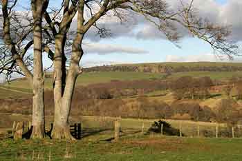 Lauderdale, Scottish Borders