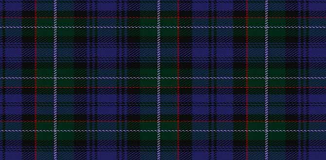 kilt hire in Edinburgh tartan